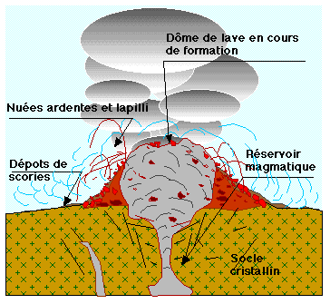 Type P&eacute;l&eacute;en