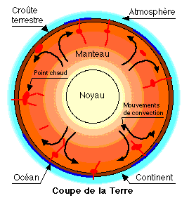 coupe de la Terre